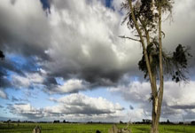 赵继伟12+12莫兰德30+25 辽宁胜东阳光药5连胜收官.