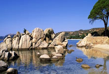 官宣聘请前勇士队医 园区赛期间曾任医疗核心.